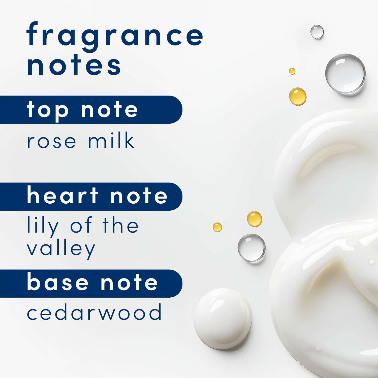 Dove – AI Ecomm — image 6