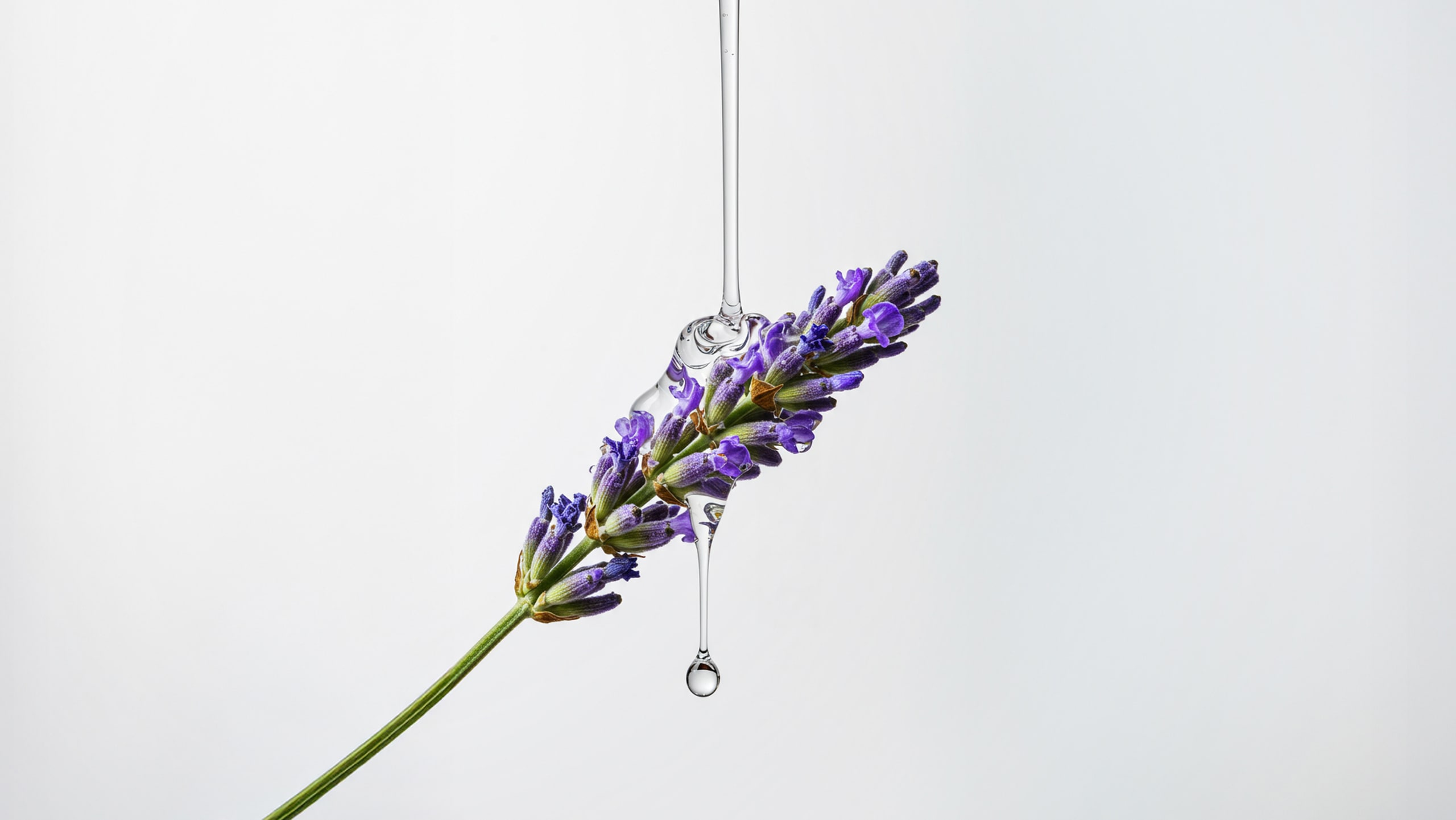 Dove – Mind+Body — image 1